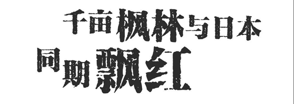 青岛张家楼千亩红枫跻身北纬35度全球美景 房产家居 青岛大众网