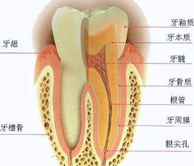 图解牙齿微创美学修复