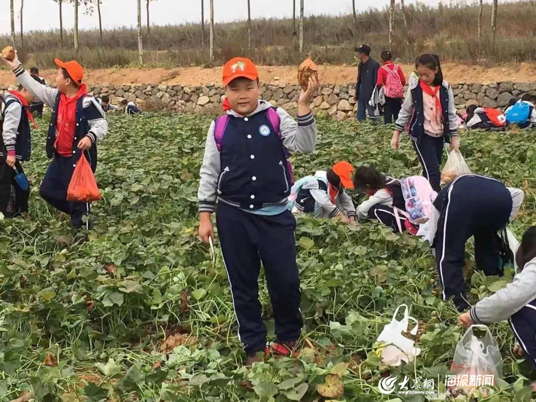 青岛市实验小学学生到即墨金口中学生学农实践基地开展秋游研学