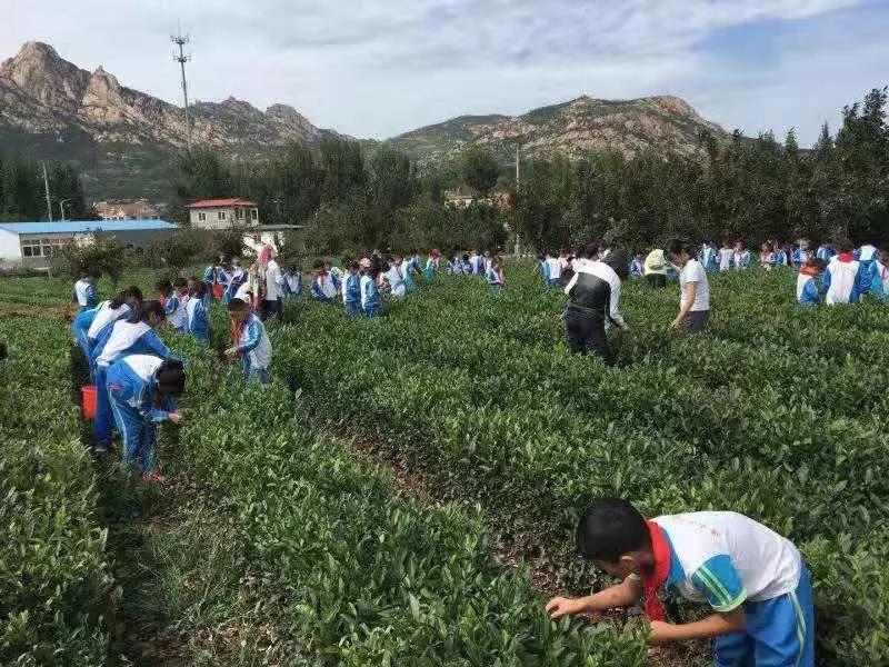 青岛二月二农场这里是孩子们的乐园