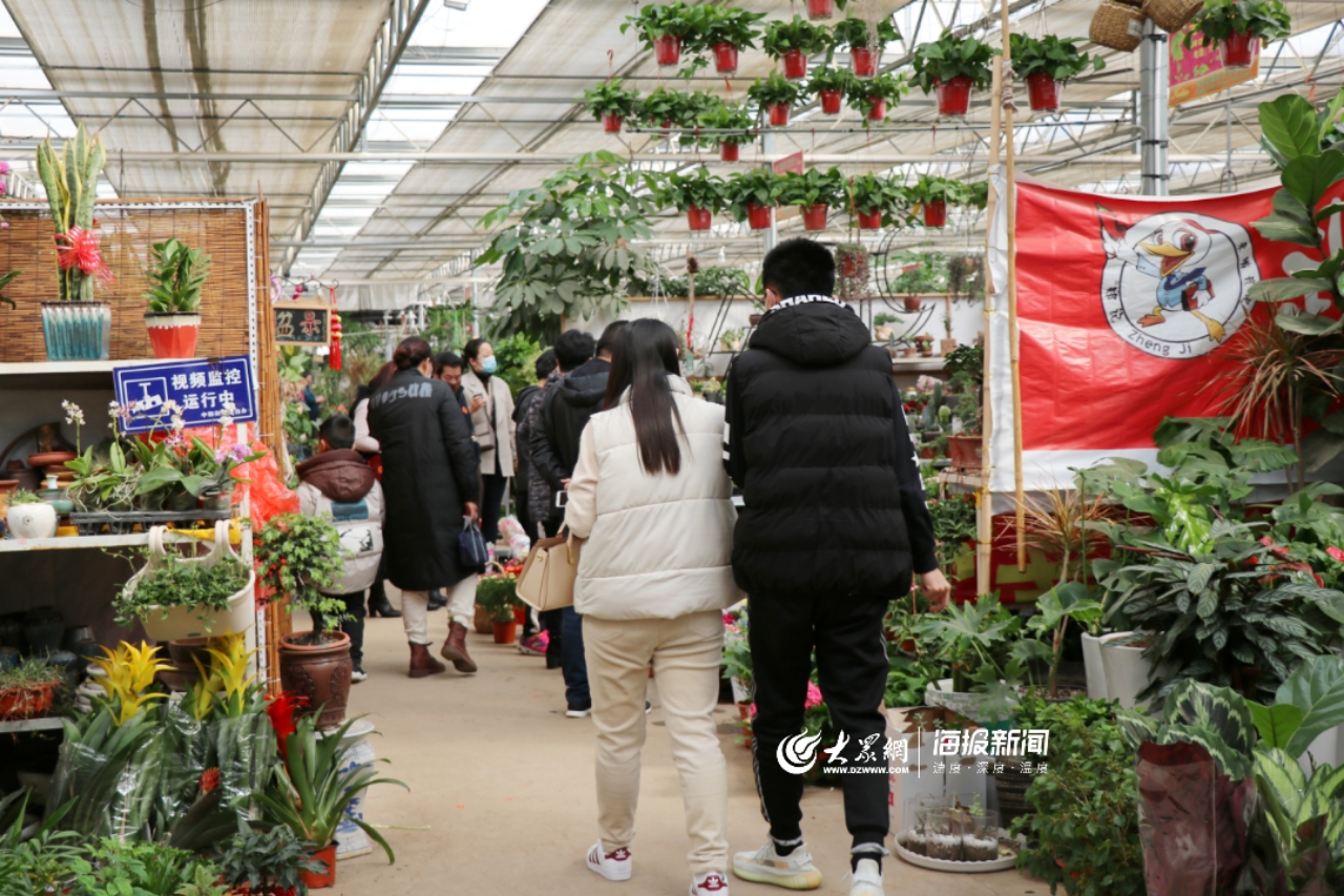 "万紫千红报春来 青岛枯桃花卉市场复工开市!