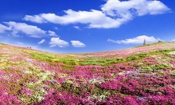 日照花仙子风景区