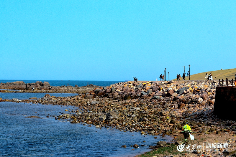 春日里"打卡"青岛小麦岛公园 面朝大海春暖花开