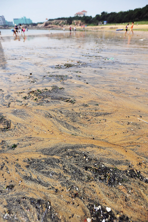 黑油污随海水涌上沙滩 岛城三大浴场关闭