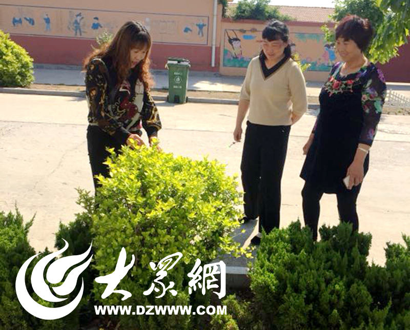 胶州铺集巾帼村书记 打造乡村振兴模范村