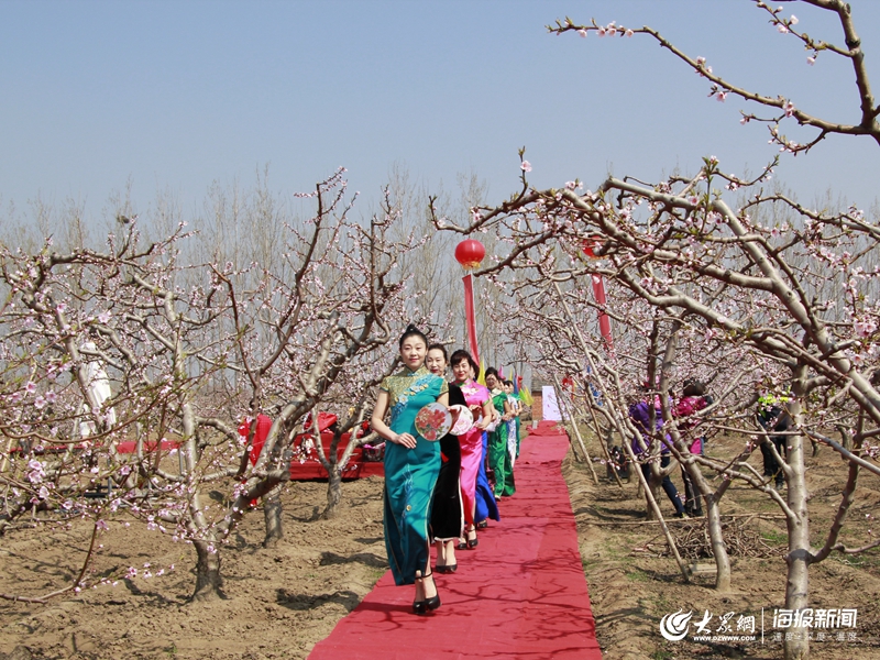 2021年胶州桃花节图片