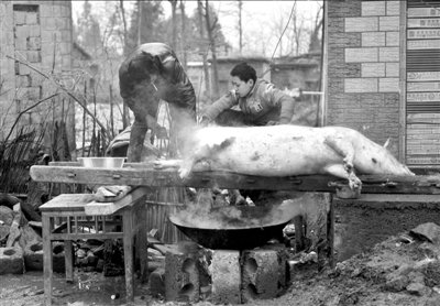 云南镇雄家属联名要求重新调查灾因 称调查敷衍