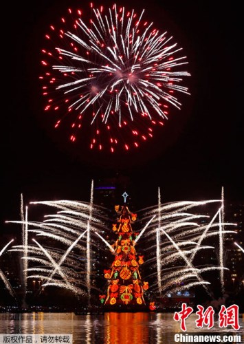 巴西里约热内卢1日为世界上最大的水上圣诞树举办隆重的点灯仪式。 巴西里约热内卢1日为世界上最大的水上圣诞树举办隆重的点灯仪式。