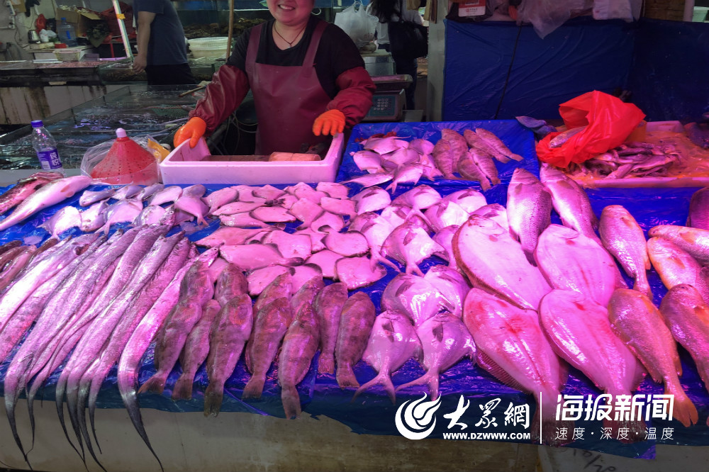 开海前夕探访青岛海鲜市场螃蟹当道最便宜15元一斤
