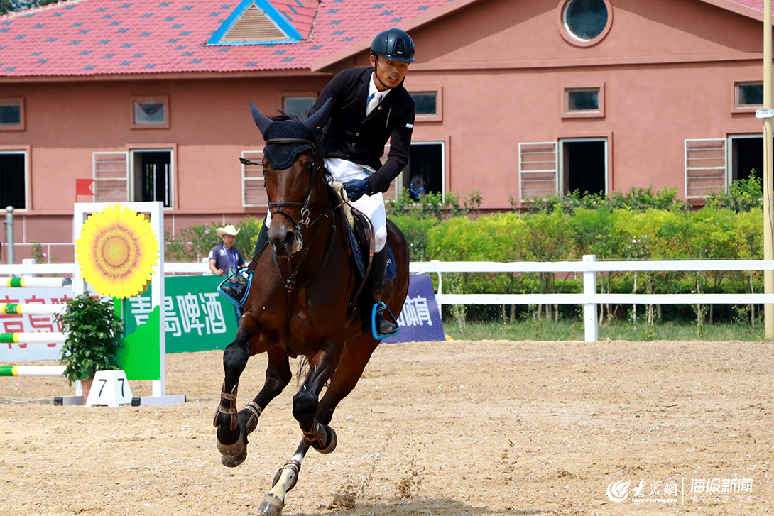 青島(萊西)2019世界休閒體育大會馬術邀請賽開賽 助力萊西馬術產業新