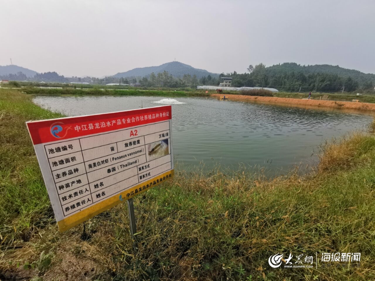 中江县有多少人口_表情 2018广州重磅利好 高铁直达香港 春运高速畅通不是梦