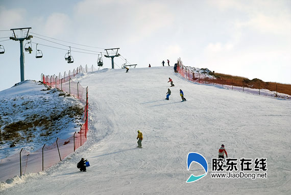 青岛丁字湾金山滑雪场图片